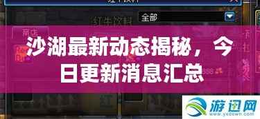 沙湖最新动态揭秘,今日更新消息汇总