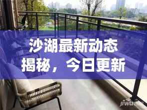 沙湖最新动态揭秘,今日更新消息汇总