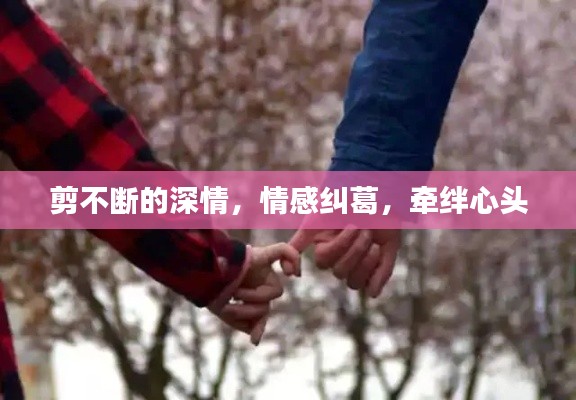 剪不断的深情，情感纠葛，牵绊心头