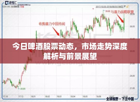 今日啤酒股票动态,市场走势深度解析与前景展望
