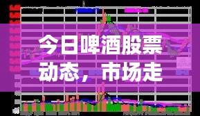 今日啤酒股票动态,市场走势深度解析与前景展望