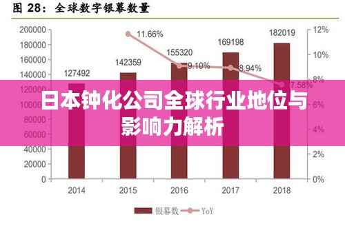 日本钟化公司全球行业地位与影响力解析