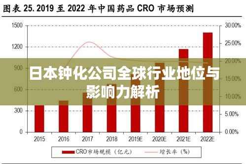 日本钟化公司全球行业地位与影响力解析