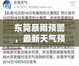东莞暴雨预警,最新天气预报及天气分析