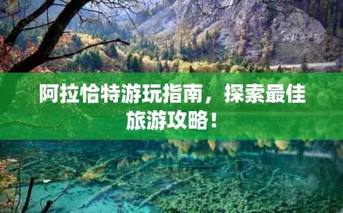 阿拉恰特游玩指南,探索最佳旅游攻略!