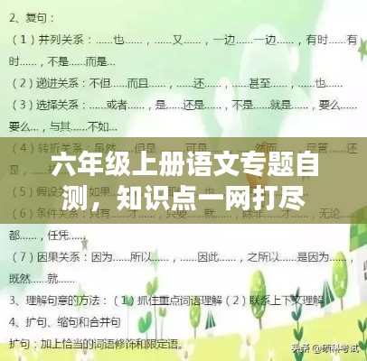 六年级上册语文专题自测，知识点一网打尽
