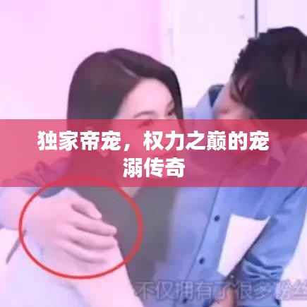 独家帝宠,权力之巅的宠溺传奇