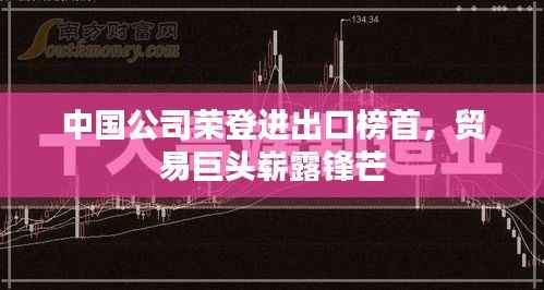 中国公司荣登进出口榜首，贸易巨头崭露锋芒