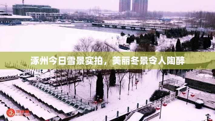 涿州今日雪景实拍,美丽冬景令人陶醉