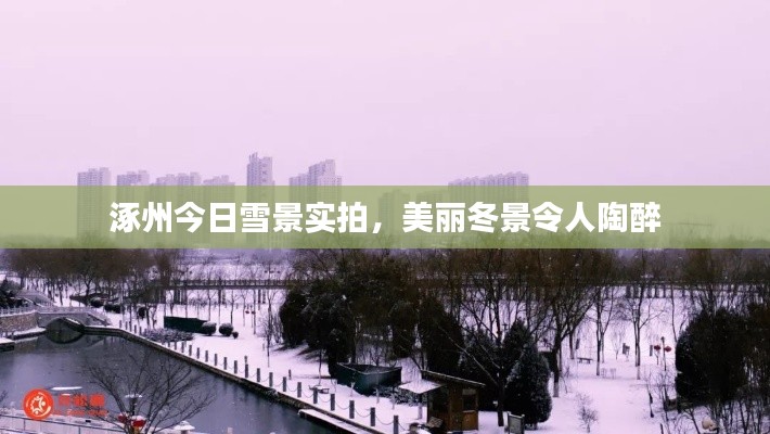 涿州今日雪景实拍,美丽冬景令人陶醉