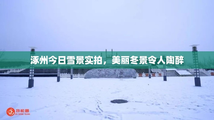 涿州今日雪景实拍,美丽冬景令人陶醉