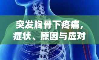 突发胸骨下疼痛,症状、原因与应对措施全解析