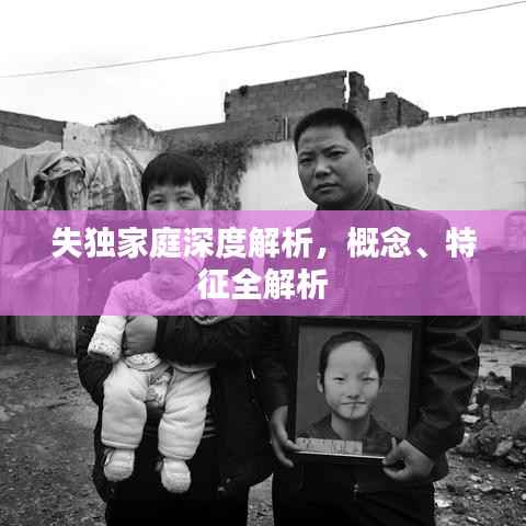 失独家庭深度解析,概念、特征全解析