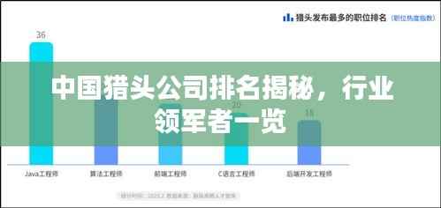 中国猎头公司排名揭秘，行业领军者一览