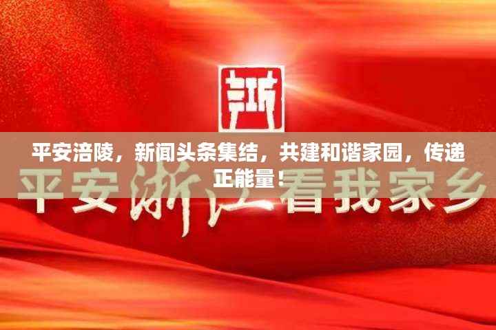 平安涪陵,新闻头条集结,共建和谐家园,传递正能量!