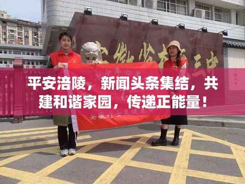 平安涪陵,新闻头条集结,共建和谐家园,传递正能量!