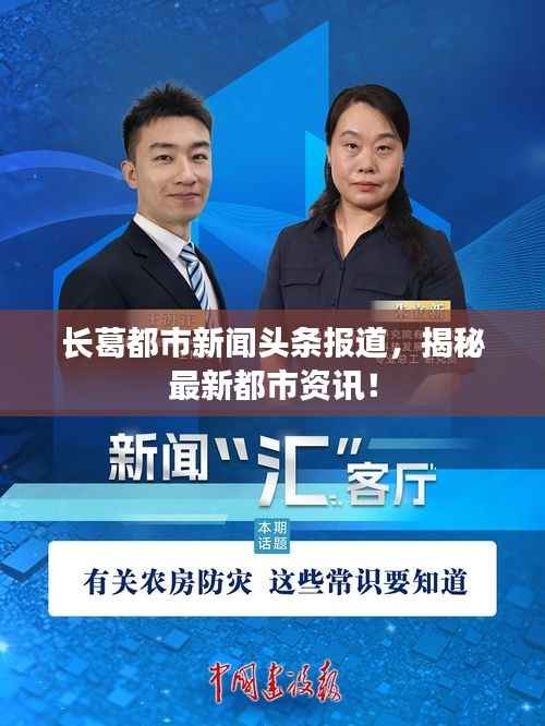 长葛都市新闻头条报道，揭秘最新都市资讯！