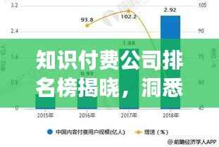 知识付费公司排名榜揭晓,洞悉行业格局,掌握未来发展趋势