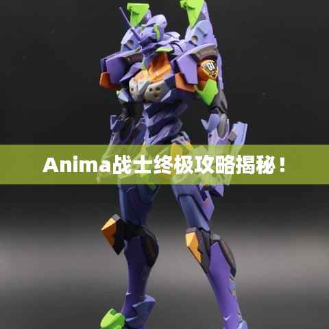 Anima战士终极攻略揭秘!