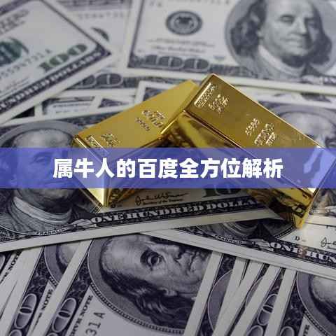 属牛人的百度全方位解析