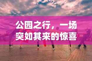 公园之行,一场突如其来的惊喜之旅