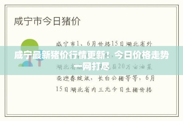 咸宁最新猪价行情更新!今日价格走势一网打尽