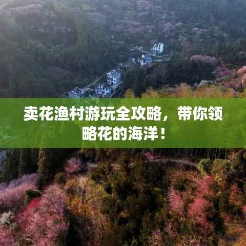 卖花渔村游玩全攻略,带你领略花的海洋!