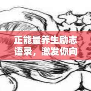 正能量养生励志语录,激发你向上的力量