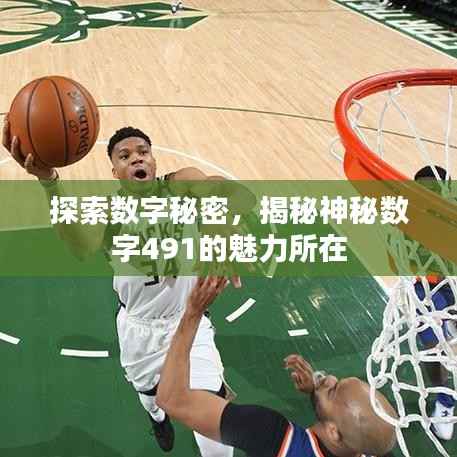 探索数字秘密，揭秘神秘数字491的魅力所在