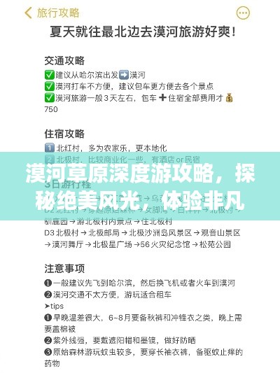 漠河草原深度游攻略,探秘绝美风光,体验非凡旅程!