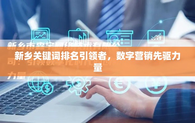 新乡关键词排名引领者,数字营销先驱力量