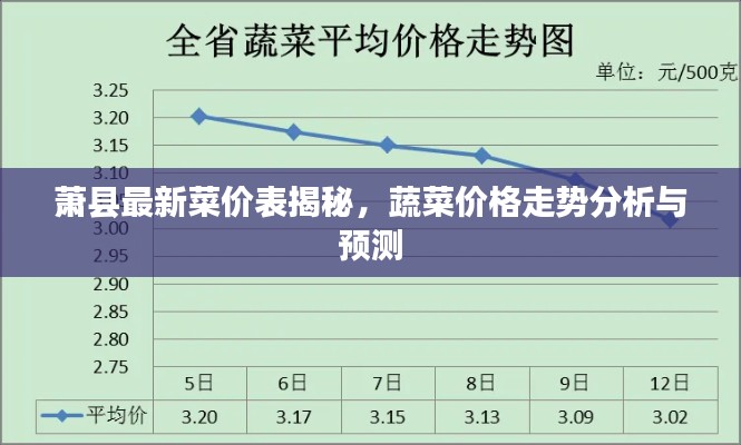 萧县最新菜价表揭秘,蔬菜价格走势分析与预测
