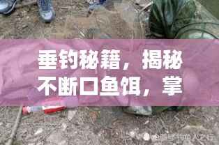 垂钓秘籍,揭秘不断口鱼饵,掌握垂钓秘密武器!