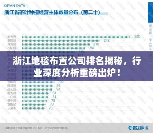 浙江地毯布置公司排名揭秘,行业深度分析重磅出炉!