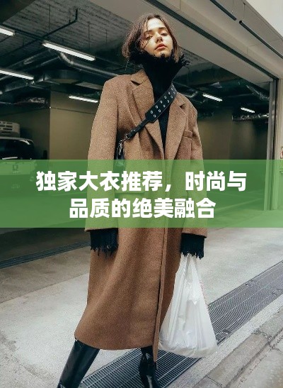 独家大衣推荐,时尚与品质的绝美融合