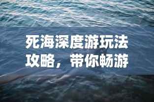 死海深度游玩法攻略,带你畅游神秘之旅!