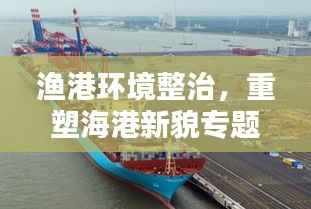 渔港环境整治,重塑海港新貌专题