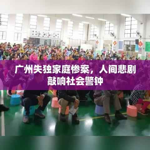广州失独家庭惨案,人间悲剧敲响社会警钟