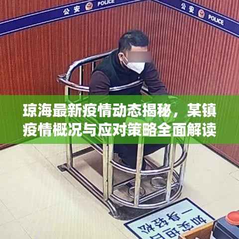 琼海最新疫情动态揭秘,某镇疫情概况与应对策略全面解读