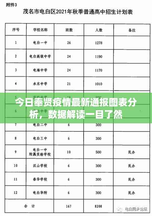 今日奉贤疫情最新通报图表分析，数据解读一目了然