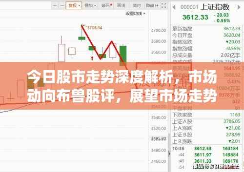 今日股市走势深度解析,市场动向布兽股评,展望市场走势新篇章