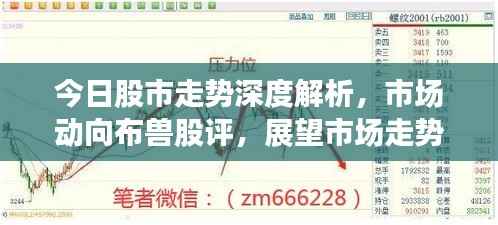 今日股市走势深度解析,市场动向布兽股评,展望市场走势新篇章