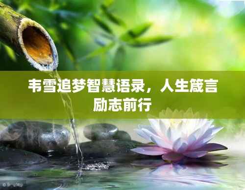 韦雪追梦智慧语录,人生箴言励志前行