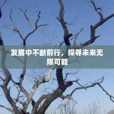 发展中不断前行,探寻未来无限可能