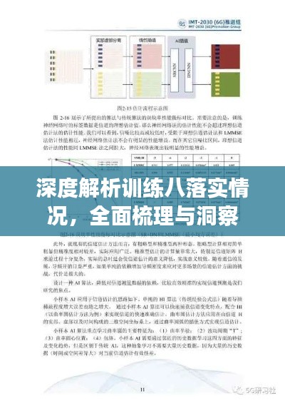 深度解析训练八落实情况,全面梳理与洞察