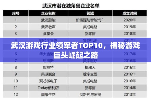 武汉游戏行业领军者TOP10,揭秘游戏巨头崛起之路