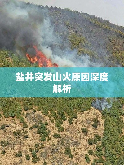 盐井突发山火原因深度解析