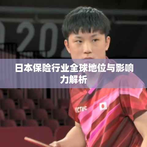 日本保险行业全球地位与影响力解析