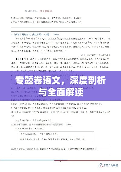 专题卷语文,深度剖析与全面解读