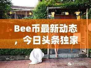Bee币最新动态,今日头条独家爆料!